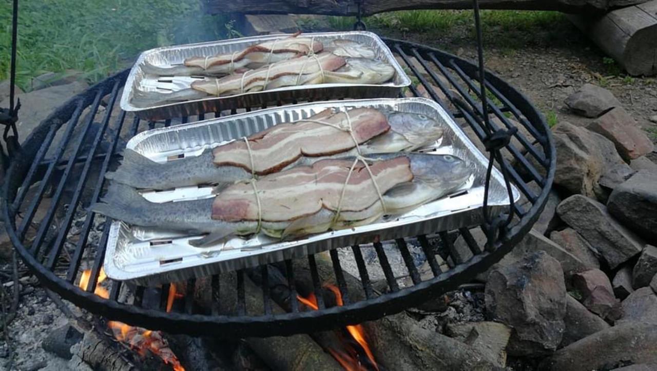 Bieszczadzki Klin Bklin Villa Cisna Exteriör bild