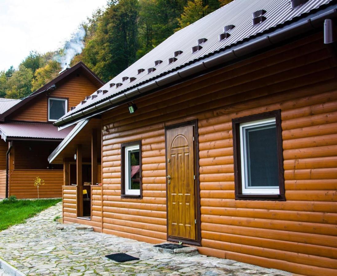 Bieszczadzki Klin Bklin Villa Cisna Exteriör bild