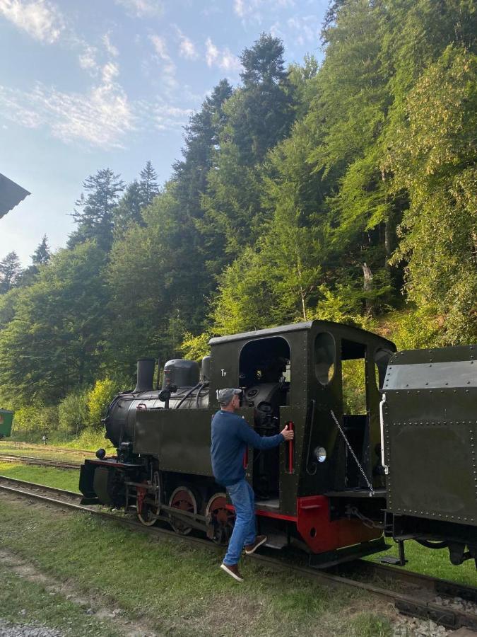 Bieszczadzki Klin Bklin Villa Cisna Exteriör bild