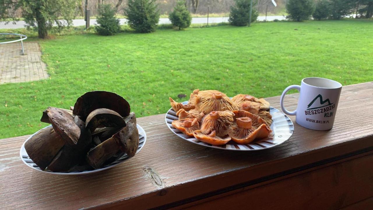 Bieszczadzki Klin Bklin Villa Cisna Exteriör bild