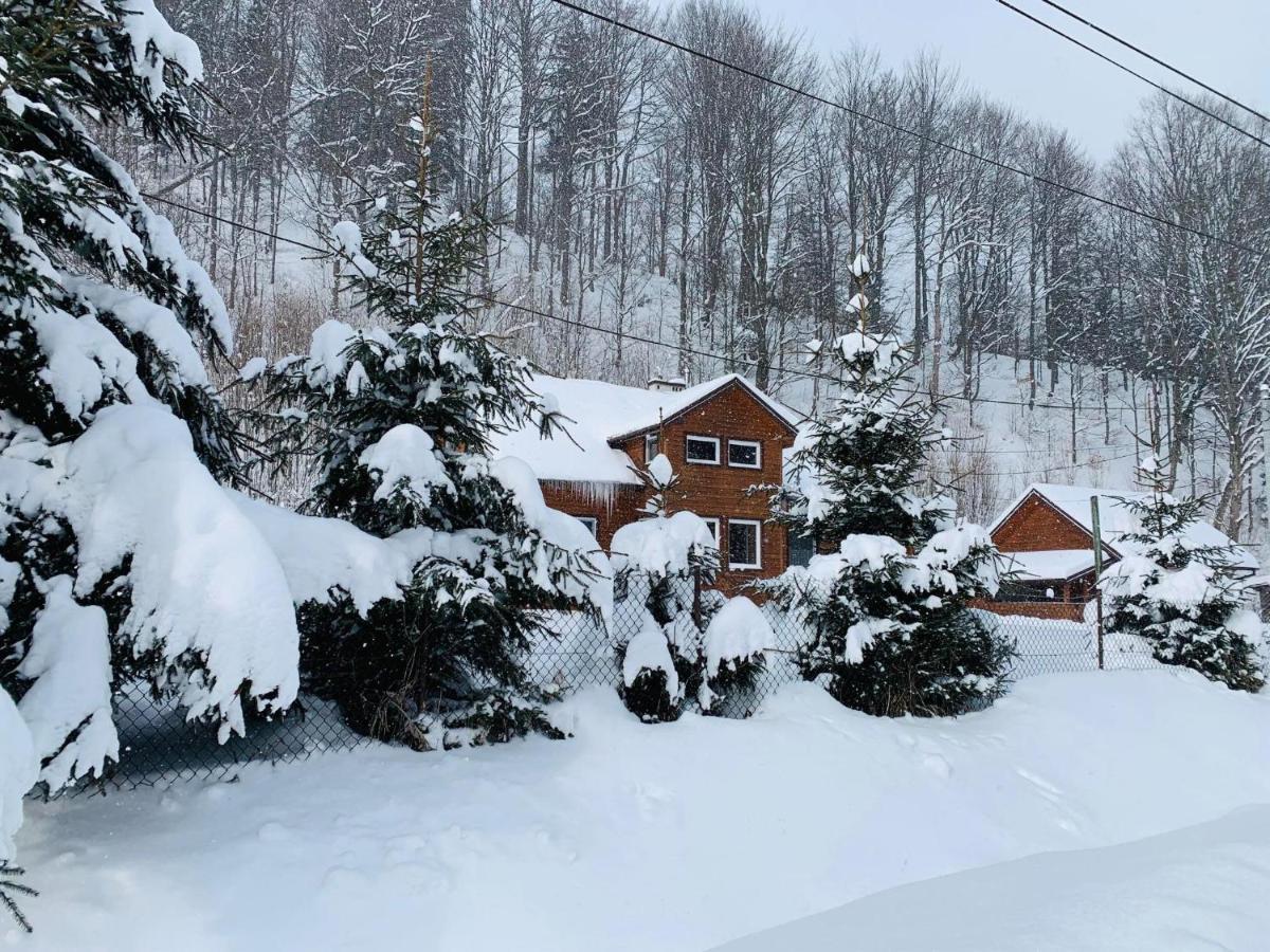 Bieszczadzki Klin Bklin Villa Cisna Exteriör bild