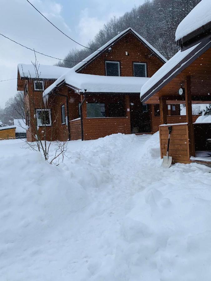 Bieszczadzki Klin Bklin Villa Cisna Exteriör bild