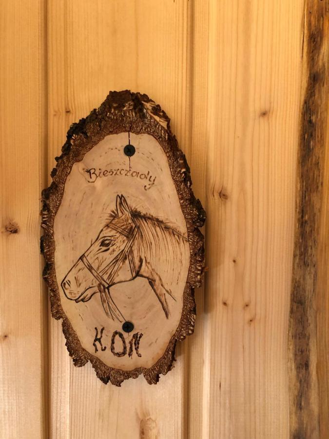 Bieszczadzki Klin Bklin Villa Cisna Rum bild