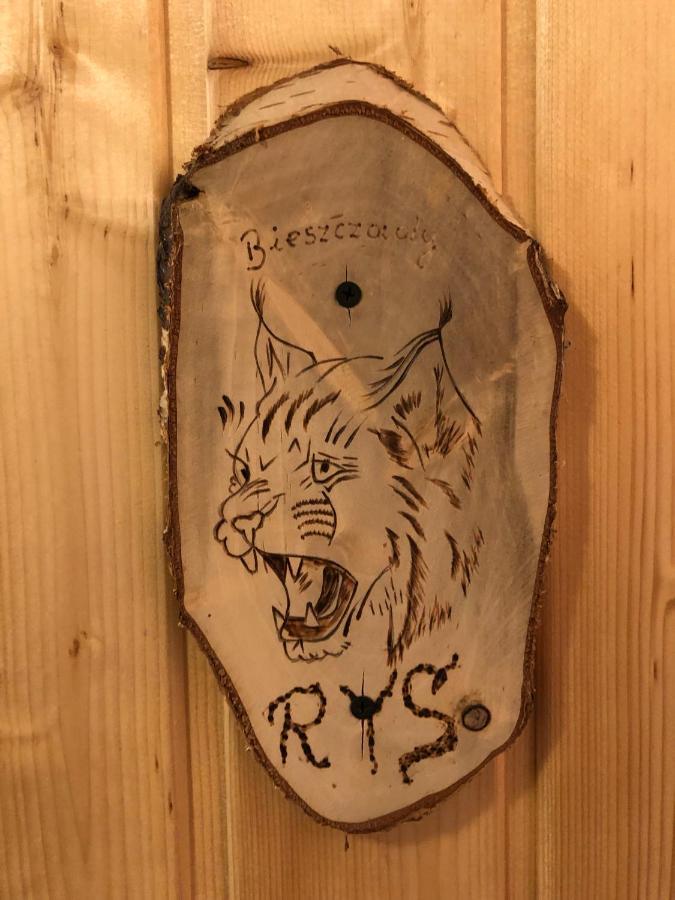 Bieszczadzki Klin Bklin Villa Cisna Rum bild